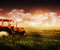 Tractor in Grass