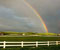 Farmland Rainbow