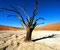 Namib Naukluft Park Namib Desert