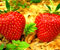 strawberry 01
