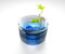 Water And Plant