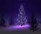 Osvetlený vianočný strom