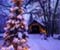 Vianočný strom a sneh