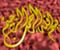 Islamskej kaligrafie 41