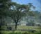 Ngorongoro National Park 37