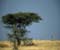 Serengeti National Park 52