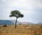 Serengeti National Park 61