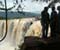 local Tourists Thika 14 falls