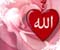 Love Allah 02