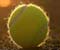 Tennis Ball 01