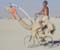 Camel Ride Kenya Coasts