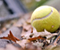 Tennis Ball Leaves Fall Mood