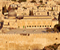 Mosquée Al Aqsa 04