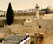 Mosquée Al Aqsa 07