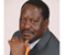 Former Prime Minister Odinga Official Portrait