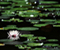Water Lilies 01