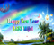 New Year Islamic 1435 Hijri 04