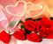 roses hearts