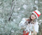 Noel Lady In White Snow 13
