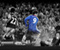 Fernando Torres Chelsea Nogometaš