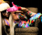 Lady Gaga Blond And Hat