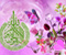 Flower Islamic 17