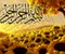 Flower Islamic 20