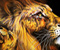 Leo The Lion 01