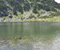 Lacul Calcescu 27