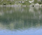 Lacul Calcescu 41