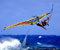 windsurf 1