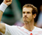Andy Murray 04