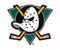 Anaheim Ducks NHL Hockey