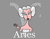 aries 02