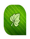 Green Leaf C Launcher
