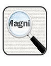Magnifier