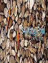 S4 Water Pool