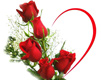 Rozes un sirds