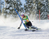 Skiing The Winter Sports