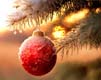 Xmas 217