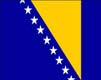 Bosnia And Herzegovina Flag