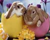 Easter Bunny