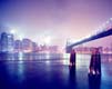 City Lights