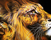 Leo Lion 01