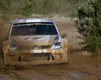 Volkswagen Polo Wrc 01